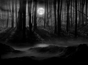 dark_forest_moon_wallpaper-normal